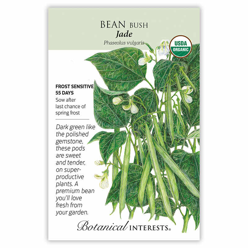 Botanical Interests Jade Bush Bean Seeds - Thumbnail 3
