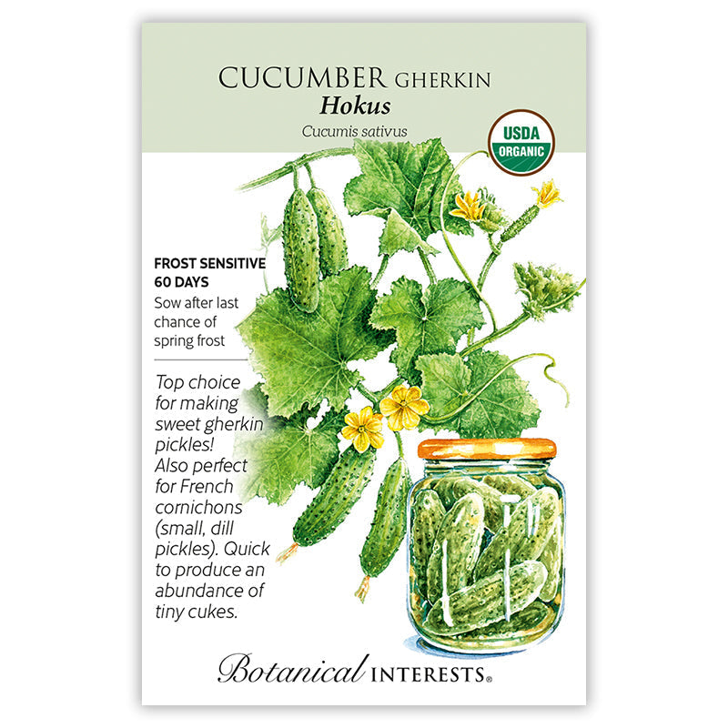 Hokus Gherkin Cucumber Seeds Product Image