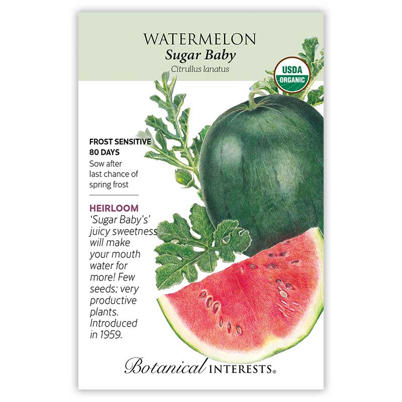 watermelon seeds for planting Sugar Baby Watermelon Seeds