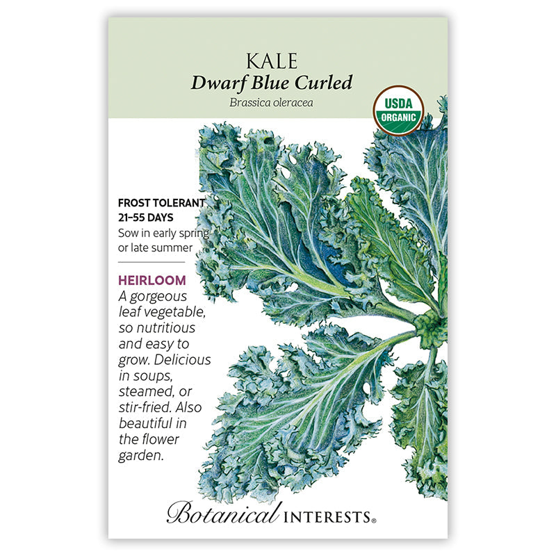Dwarf Blue Curled Kale Seeds