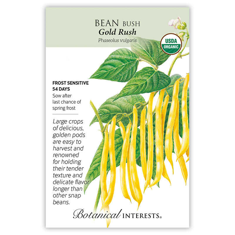 Botanical Interests Gold Rush Bush Bean Seeds - Thumbnail 2