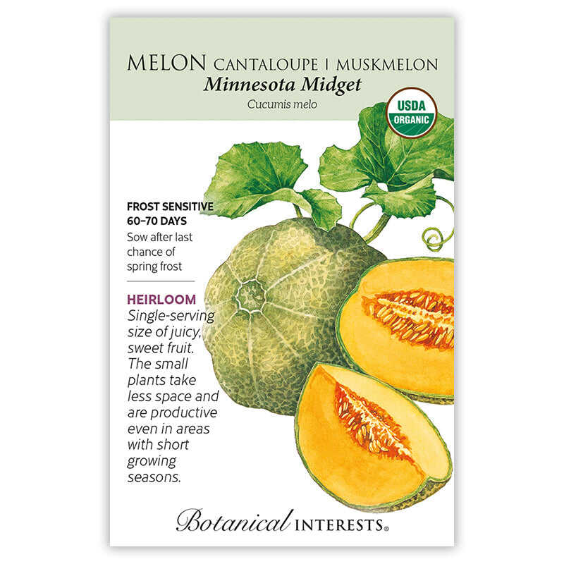 melon seeds for planting Minnesota Midget Cantaloupe/Muskmelon Melon Seeds