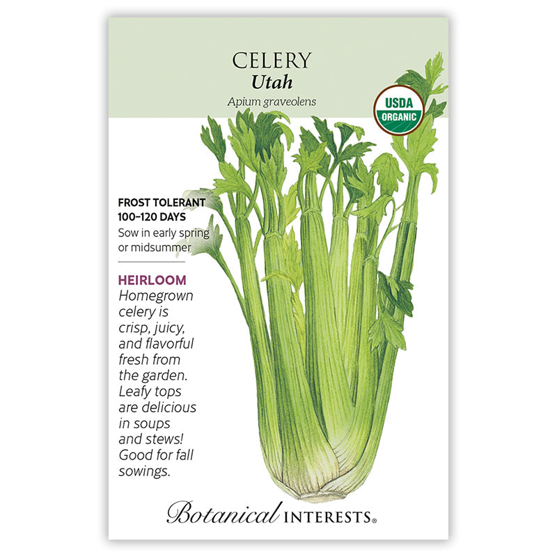 Utah Celery Seeds