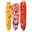 Painted Hill Sweet Corn Seeds