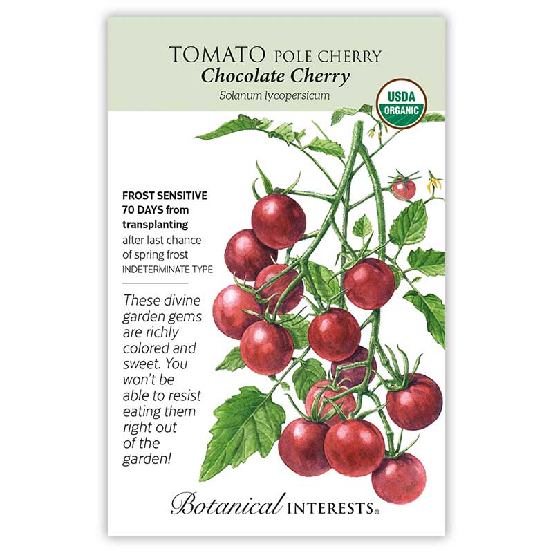 Chocolate Cherry Pole Cherry Tomato Seeds