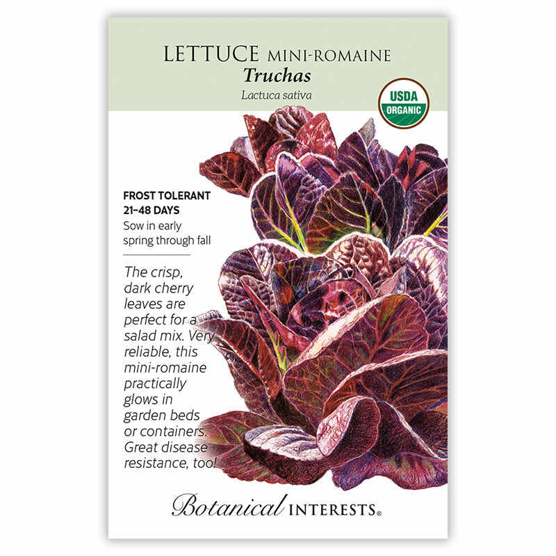 Truchas Mini-Romaine Lettuce Seeds