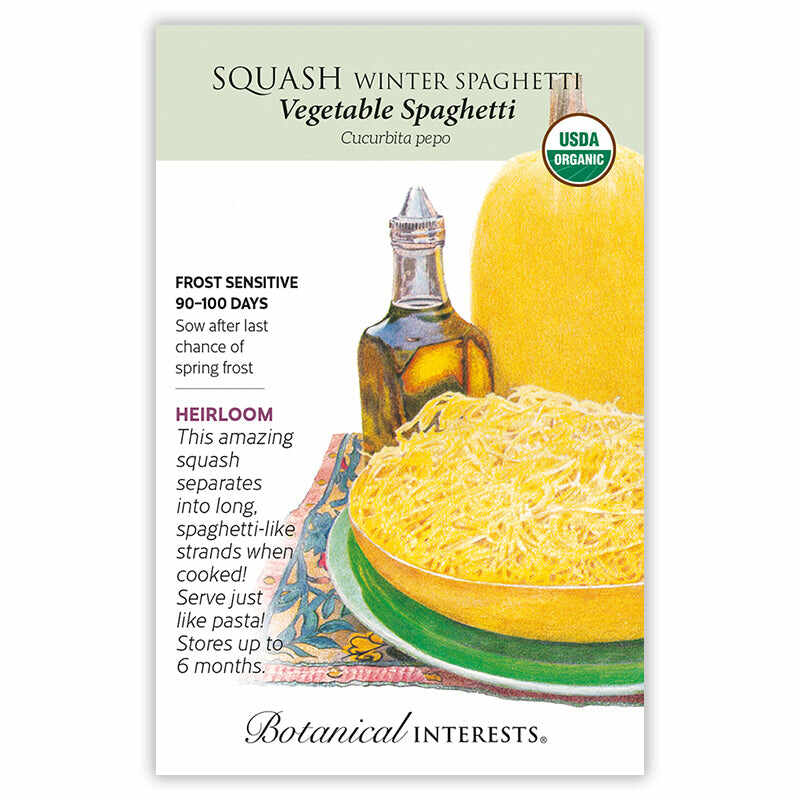 Vegetable Spaghetti Winter Squash Seeds