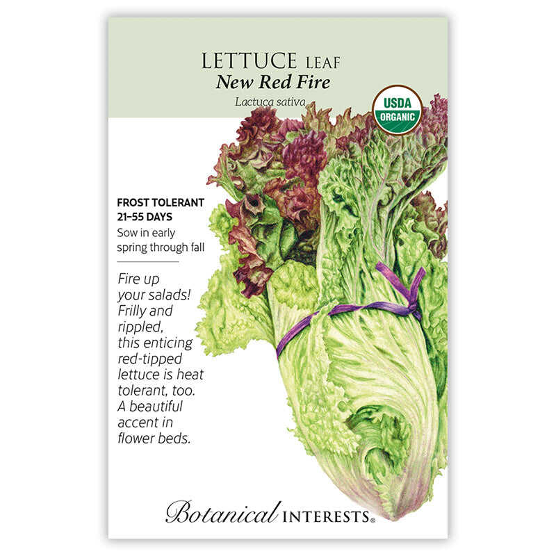 Botanical Interests Fire Leaf Lettuce Seeds