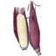 Martian Jewels Sweet Corn Seeds
