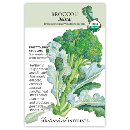 Belstar Broccoli Seeds Product Image