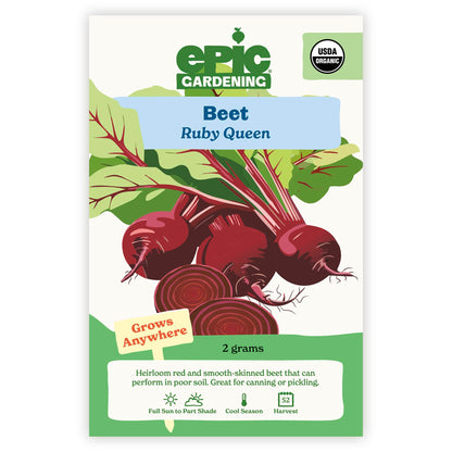 Ruby Queen Beet