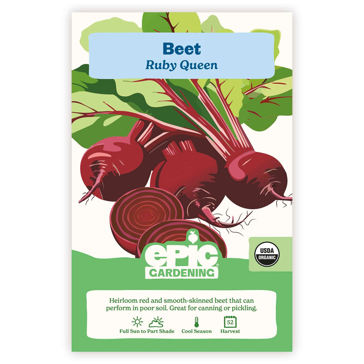 Ruby Qween Ruby Queen Beet – Epic Gardening