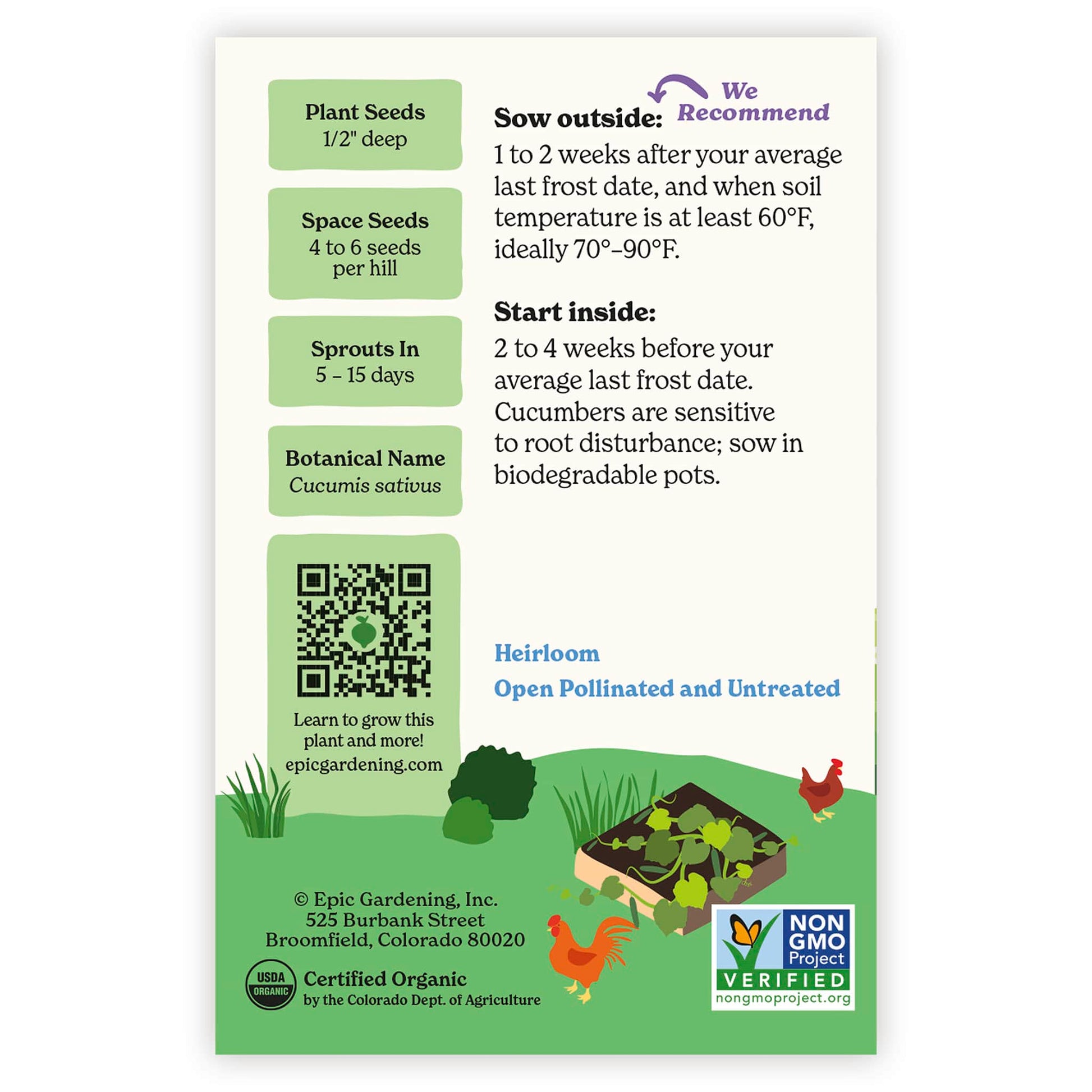 cucumber seed planting instructions Double Yield Cucumber