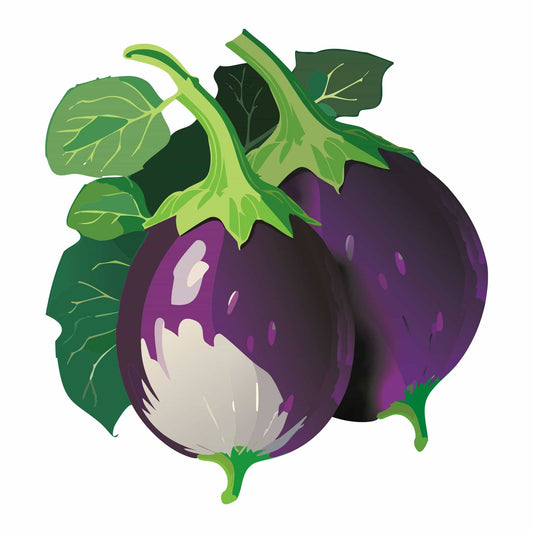 Rosa Bianca Eggplant