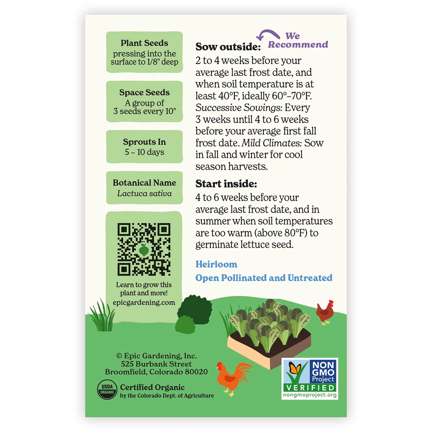 Freckles Romaine Lettuce