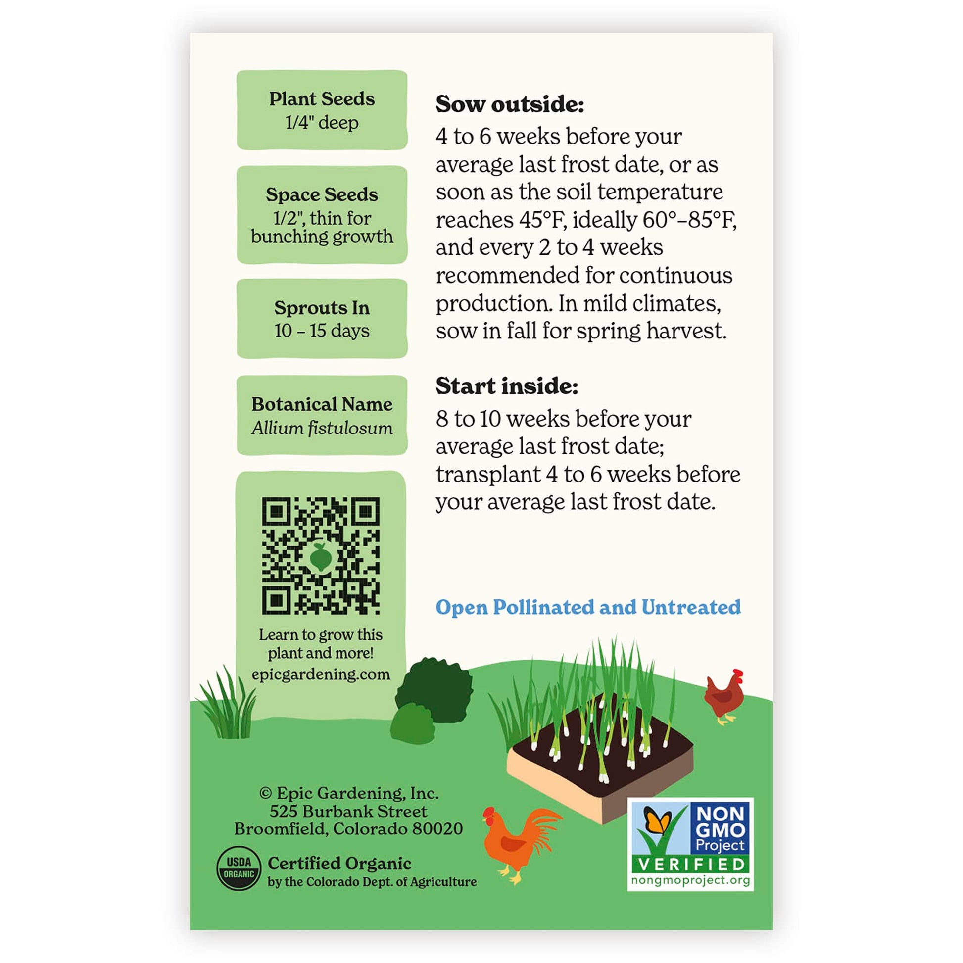 onion seeds planting instructions Warrior Bunching Onion – Epic Gardening