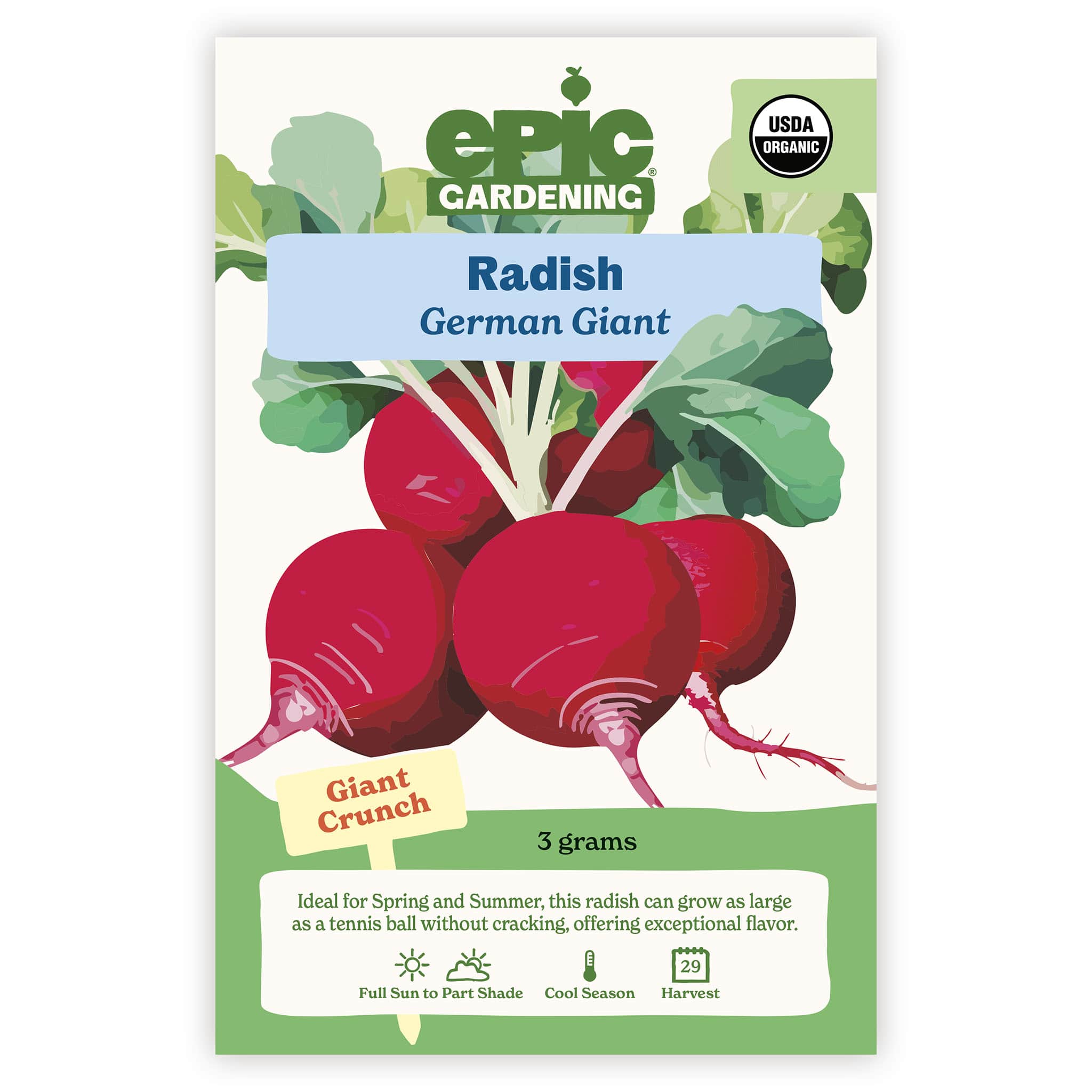 German Giant Radish – Epic Gardening