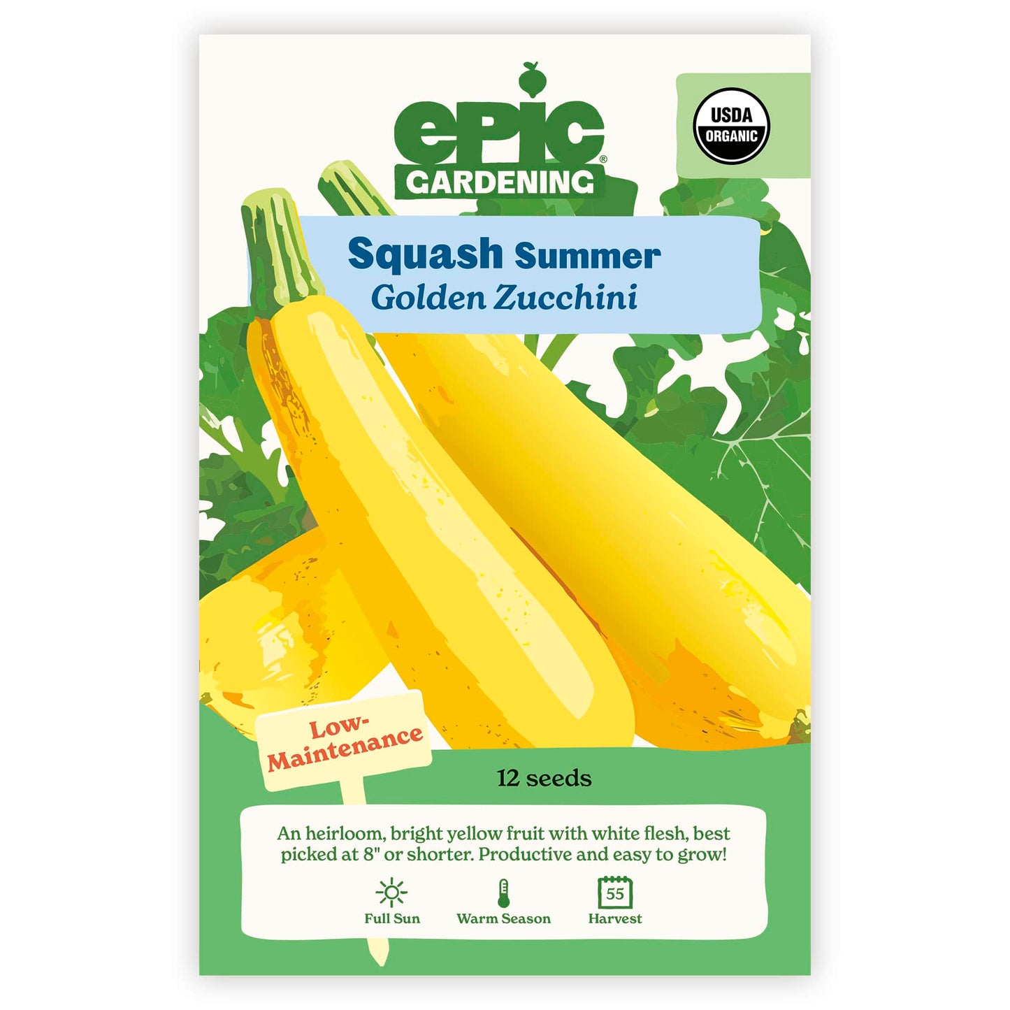 Golden Zucchini Summer Squash
