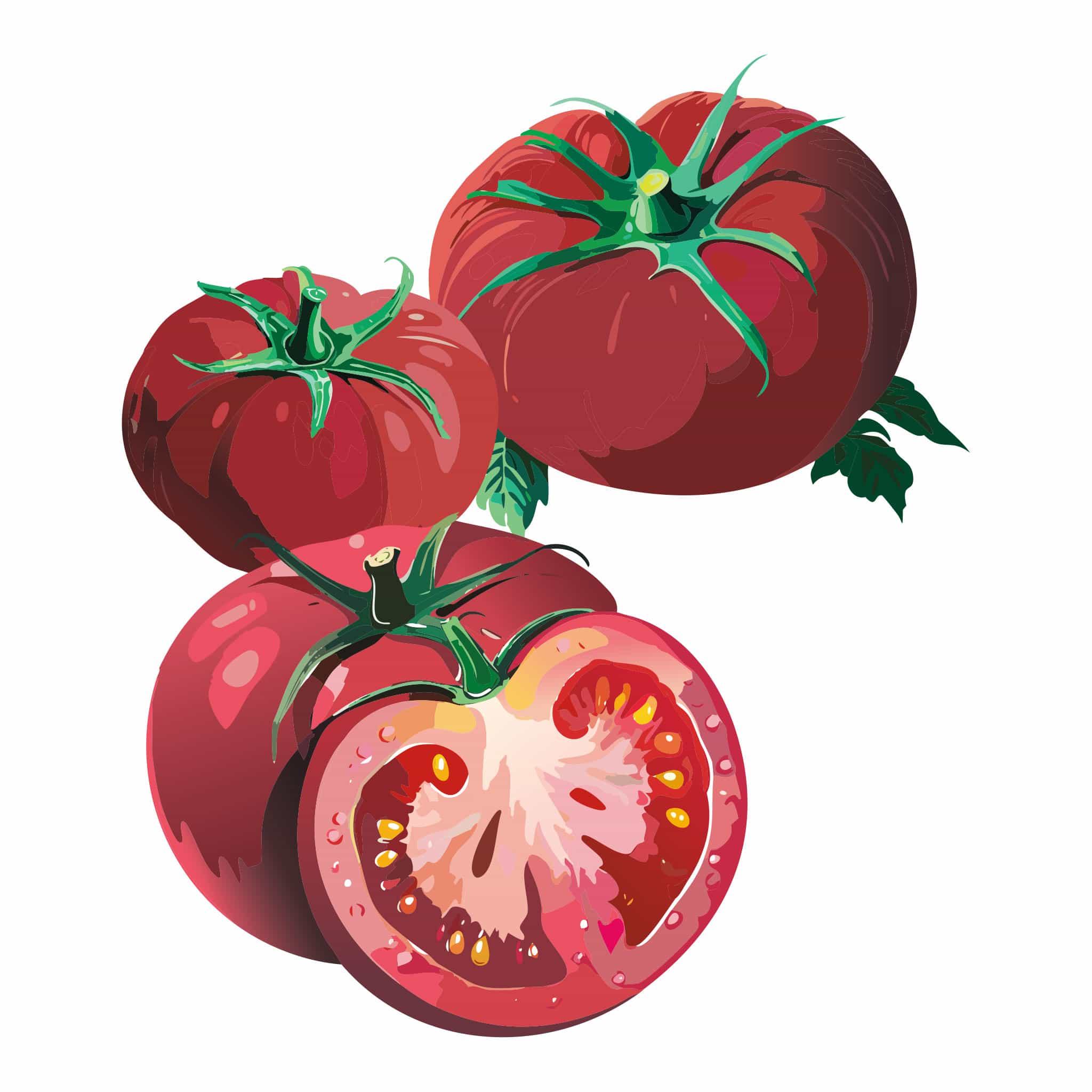 tomatoオーダーウィッグ ウィッグオーダーサンプル