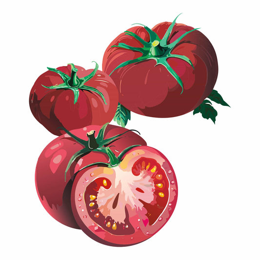 Brandywine Pink Pole Tomato