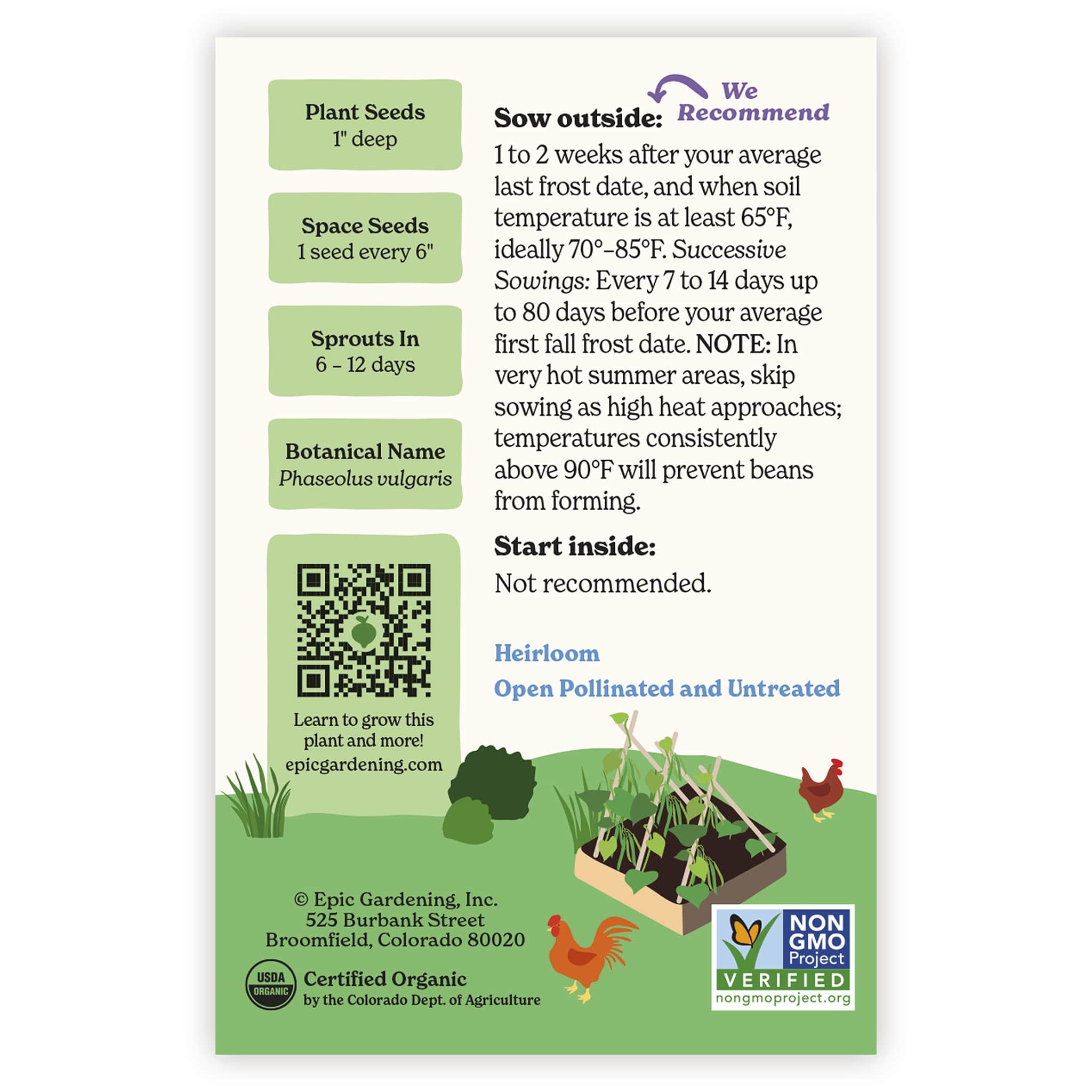 Blue Lake FM-1K Pole Bean – Epic Gardening