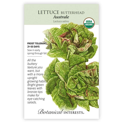 Australe Butterhead Lettuce Seeds