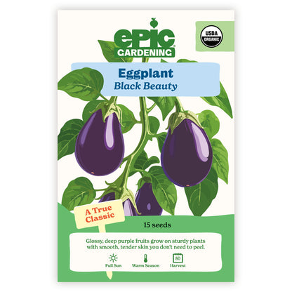 Black Beauty Eggplant