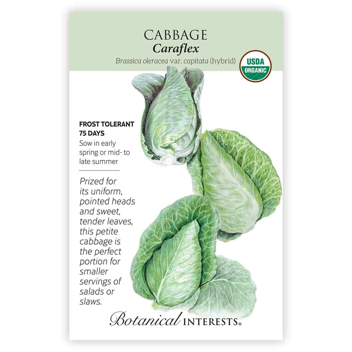 Caraflex Cabbage Seeds