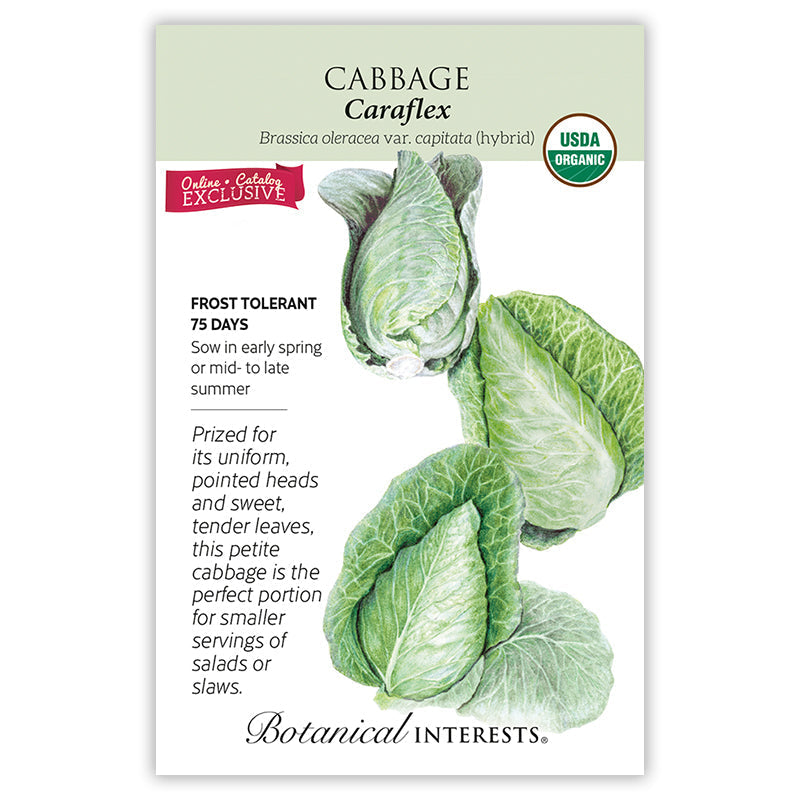 Caraflex Cabbage Seeds Product Image