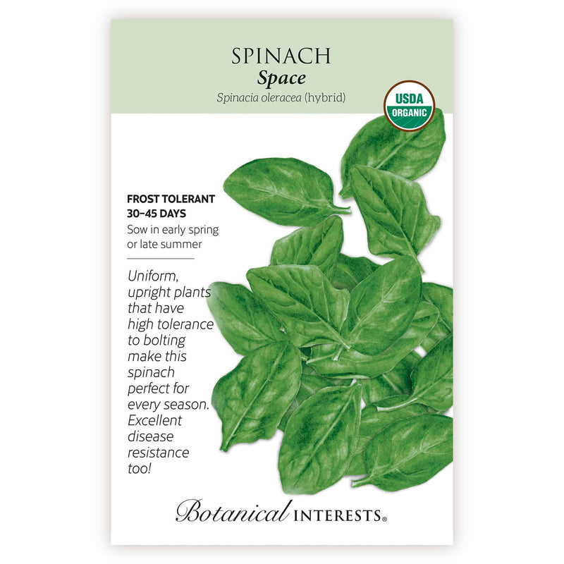 plant spinach seeds indoors Space Spinach Seeds – Epic Gardening