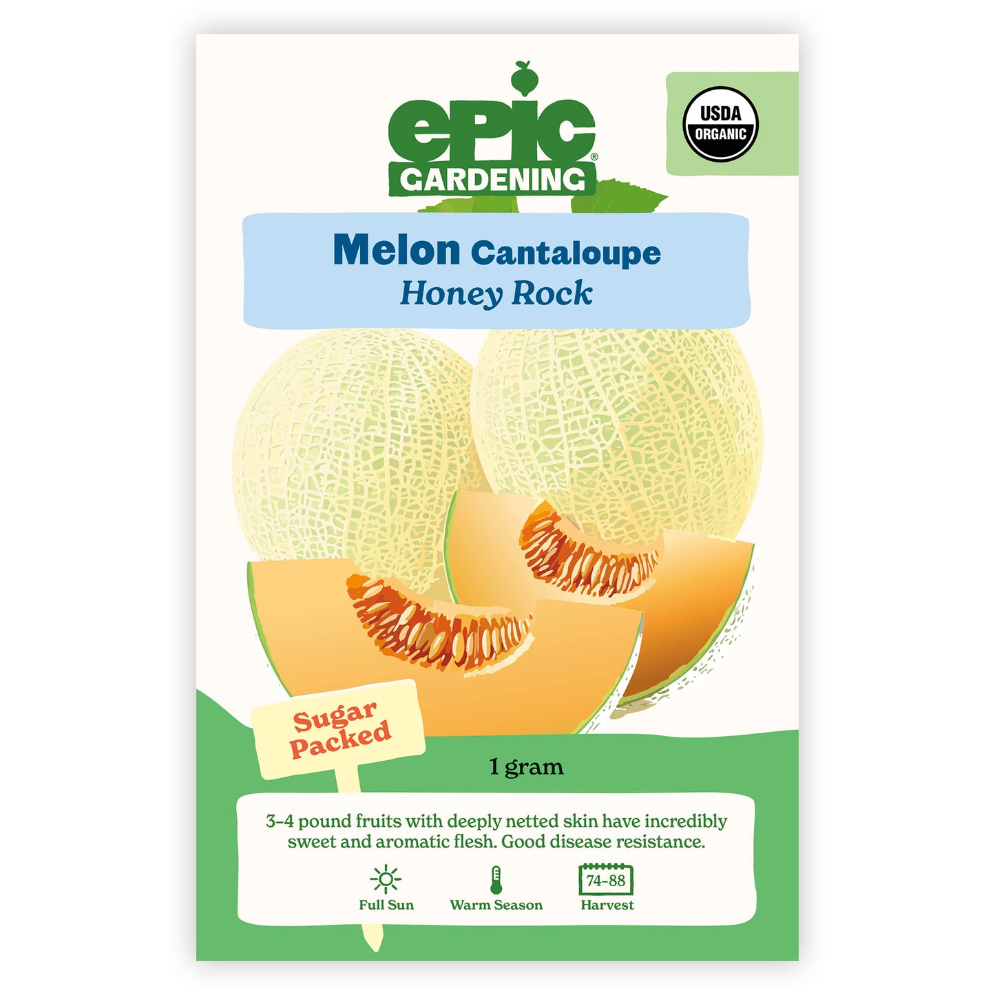 Honey Rock Cantaloupe/Muskmelon