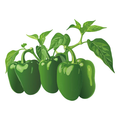 Emerald Giant Sweet Pepper