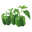 Emerald Giant Sweet Pepper