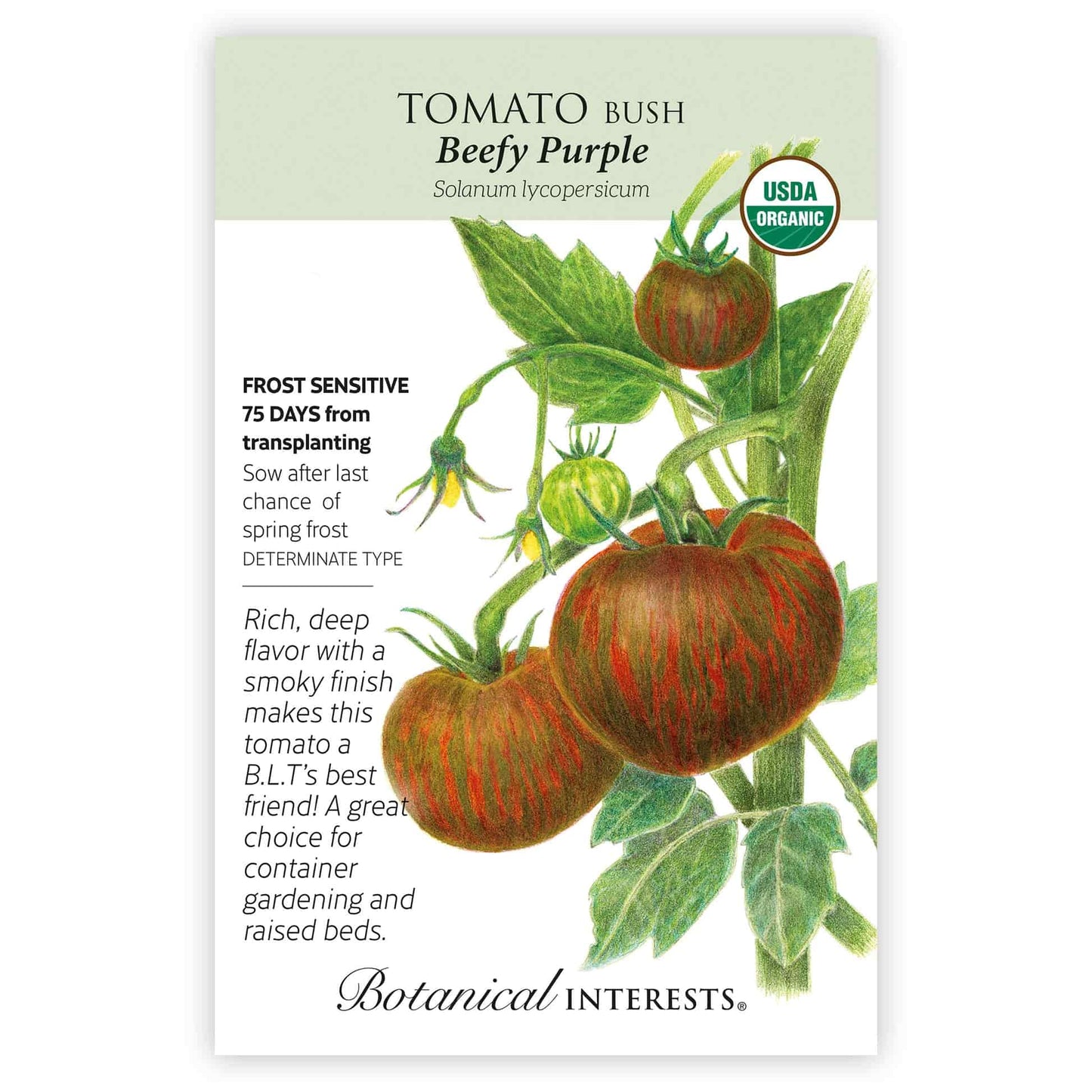 best tomato plant seeds Beefy Purple Bush Tomato Seeds