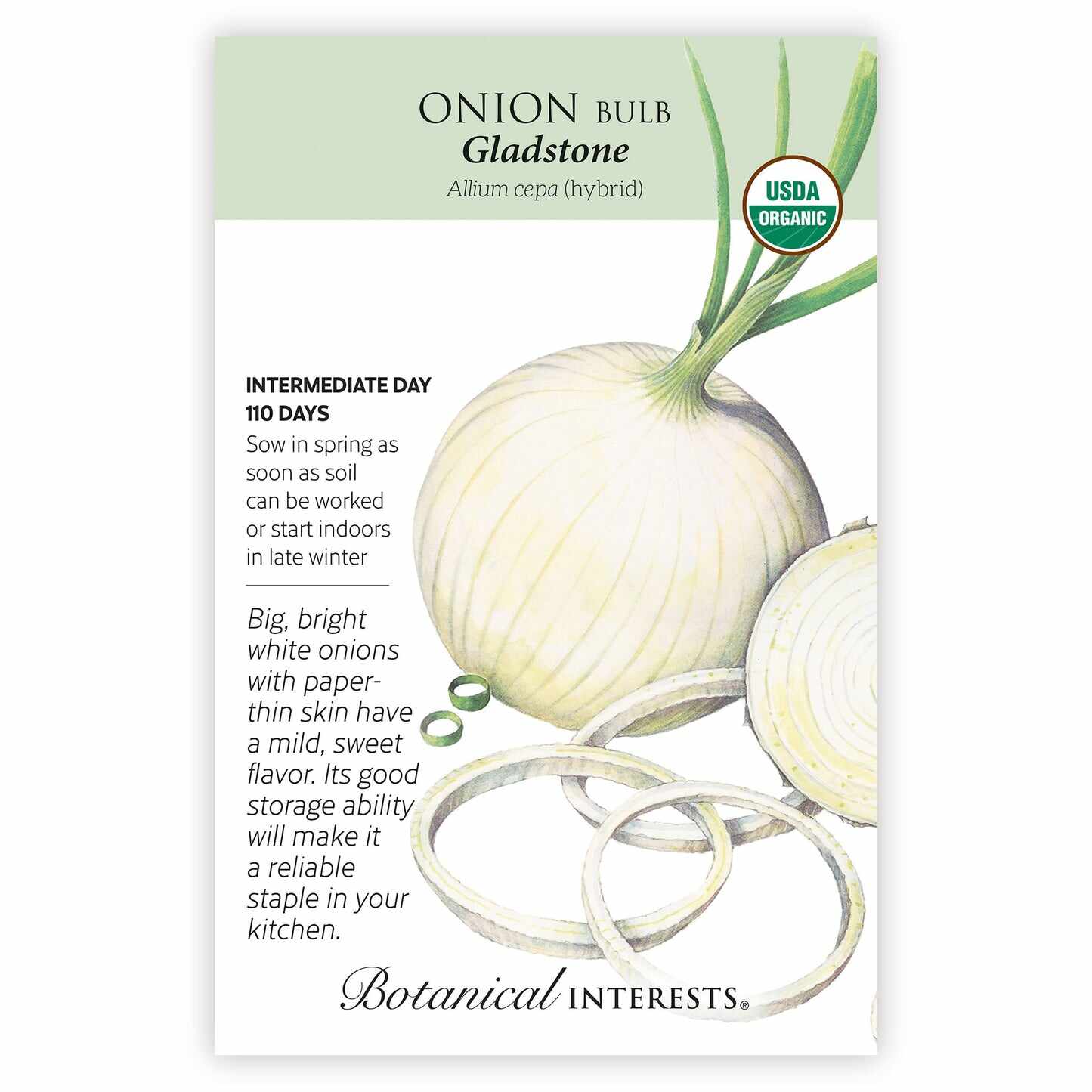 Gladstone Onion Seeds