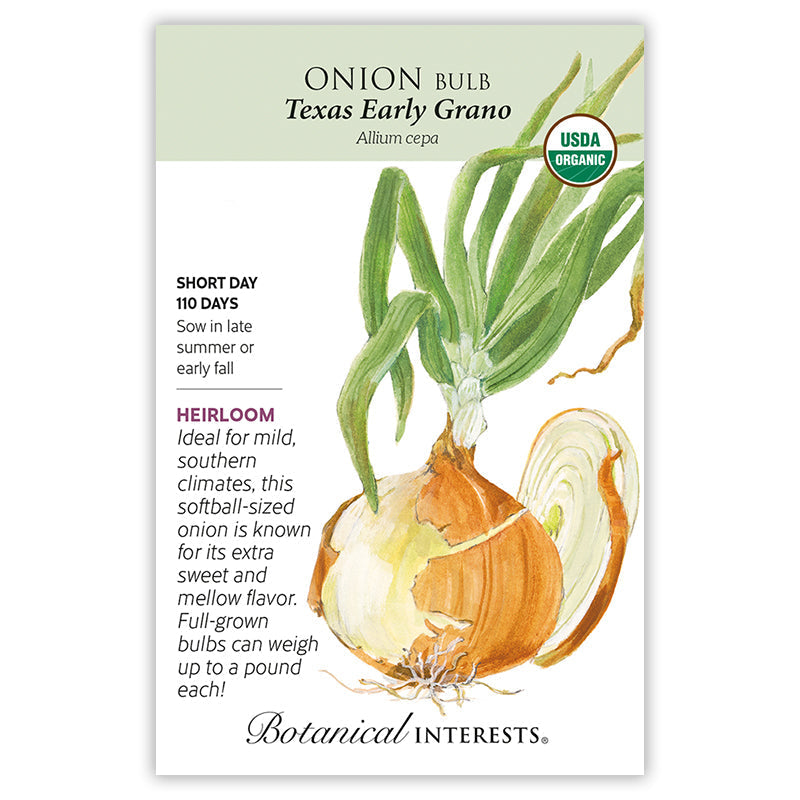 Texas Early Grano Bulb Onion Seeds