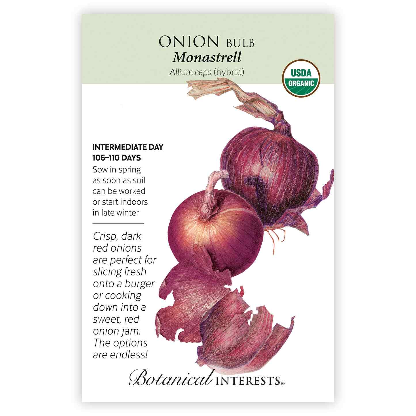 plant red onion seeds Monastrell Bulb Onion Seeds