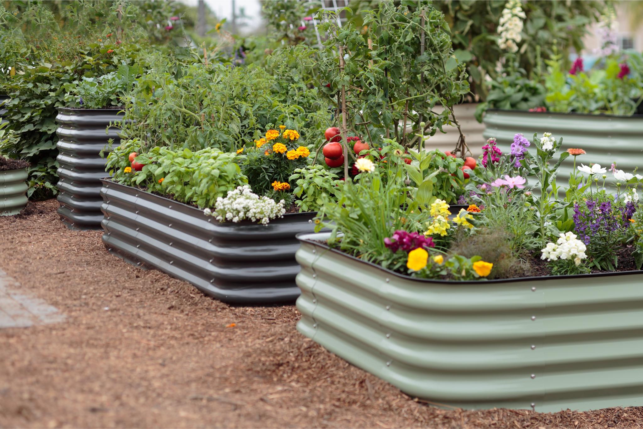 Modular Epic raised garden bed