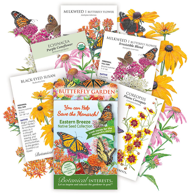 Eastern Breeze Butterfly Collection Product Image