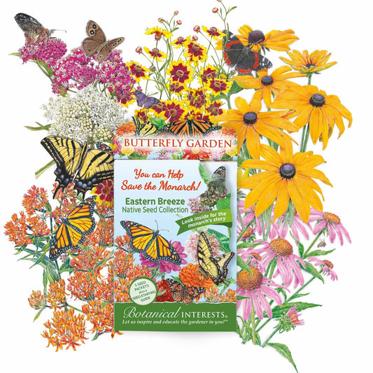 Eastern Breeze Butterfly Gift Set