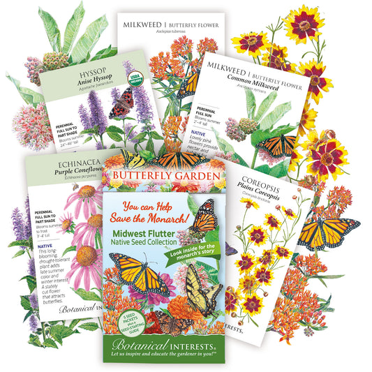 Midwest Flutter Butterfly Collection