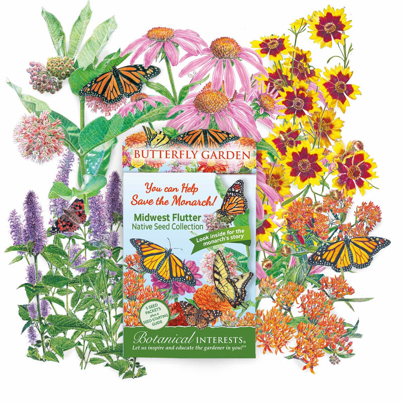 Midwest Flutter Butterfly Gift Set