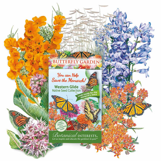 Western Glide Butterfly Gift Set