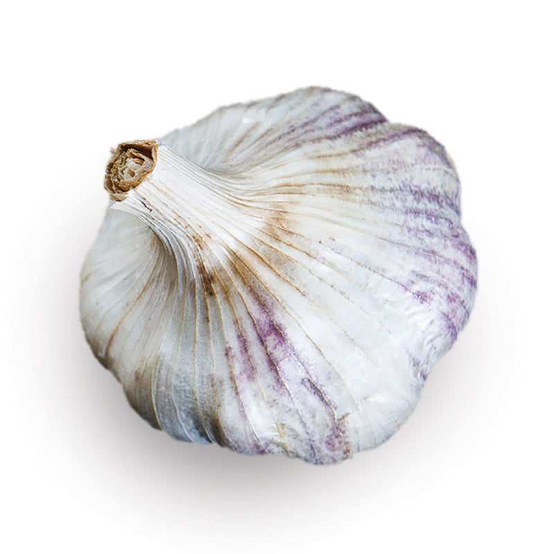 Sicilian Artichoke Softneck Garlic - USDA Certified Organic
