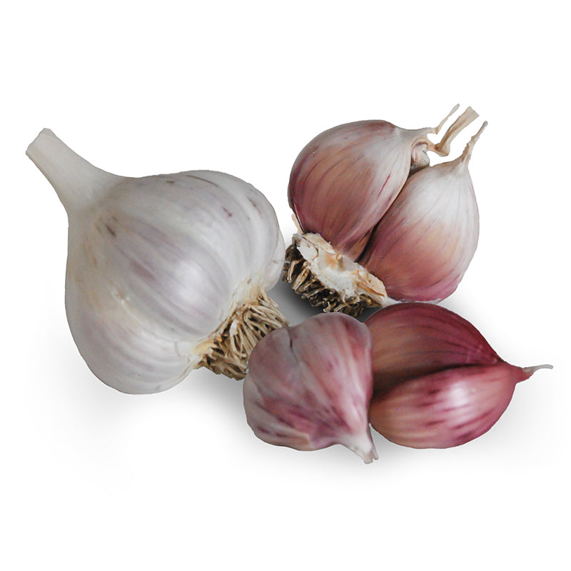 Ajo Rojo Hardneck Garlic - USDA Certified Organic