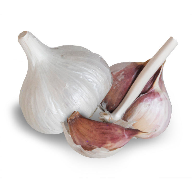 German White Stiffneck Hardneck Garlic - USDA Certified Organic