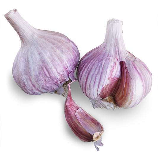 Chesnok Red Hardneck Garlic - USDA Certified Organic