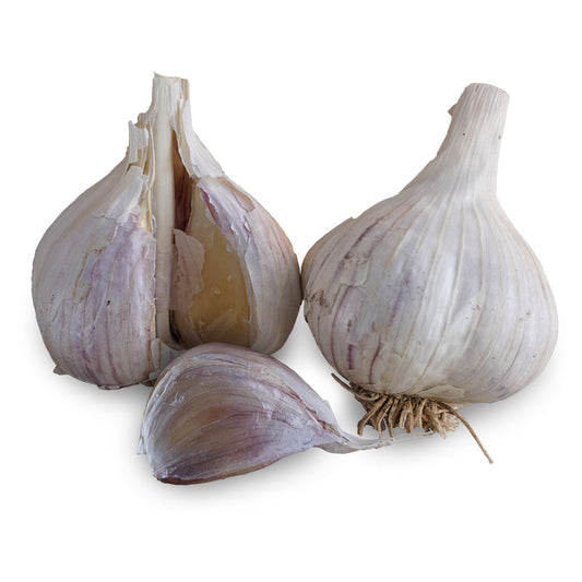 Music Hardneck Garlic - USDA Certified Organic