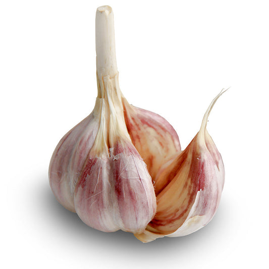 Spanish Roja Hardneck Garlic - USDA Certified Organic