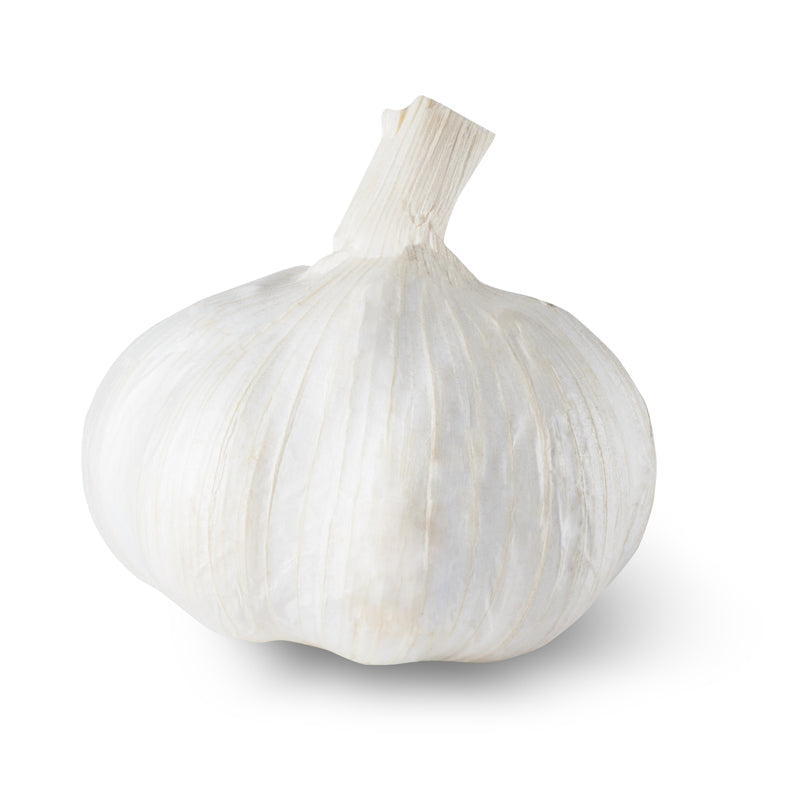Silver White Softneck Garlic - USDA Certified Organic